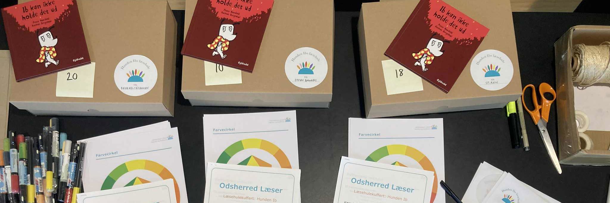 Læsekufferter