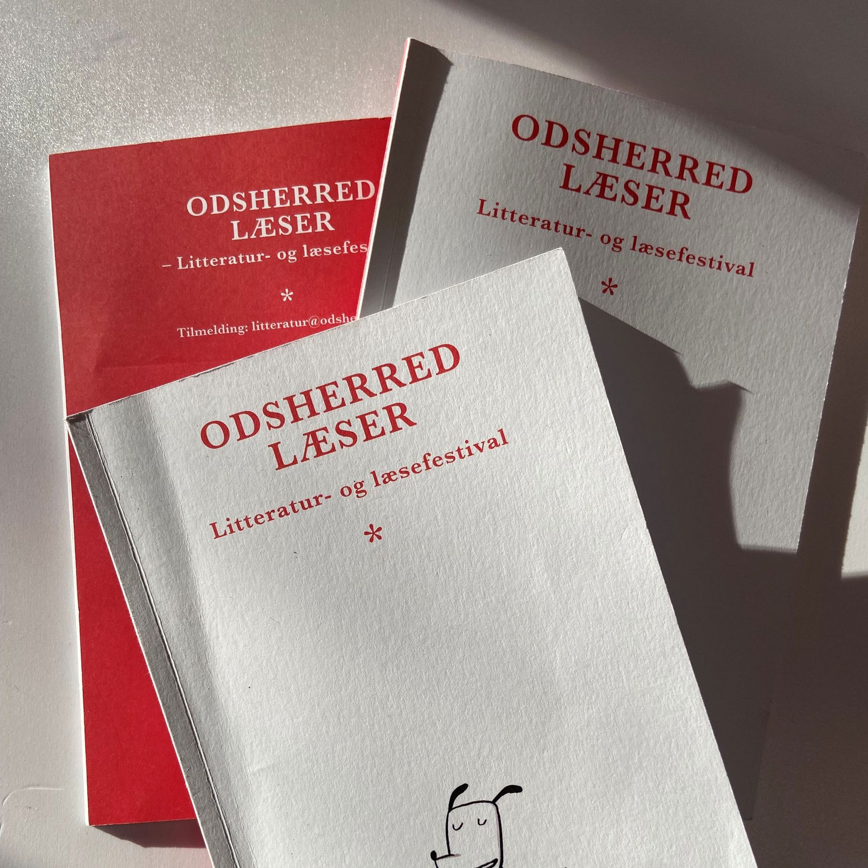 Program Odsherred Læser