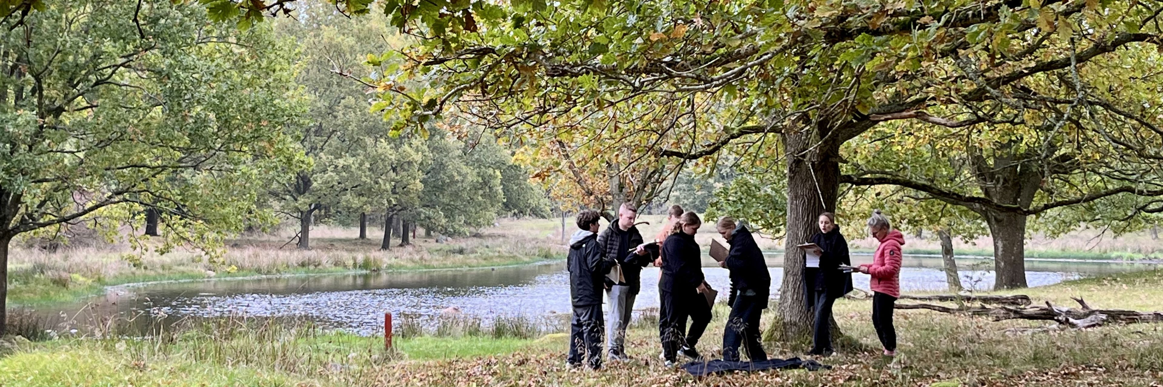 Unge i en skov