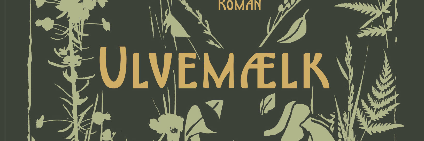 romanforside