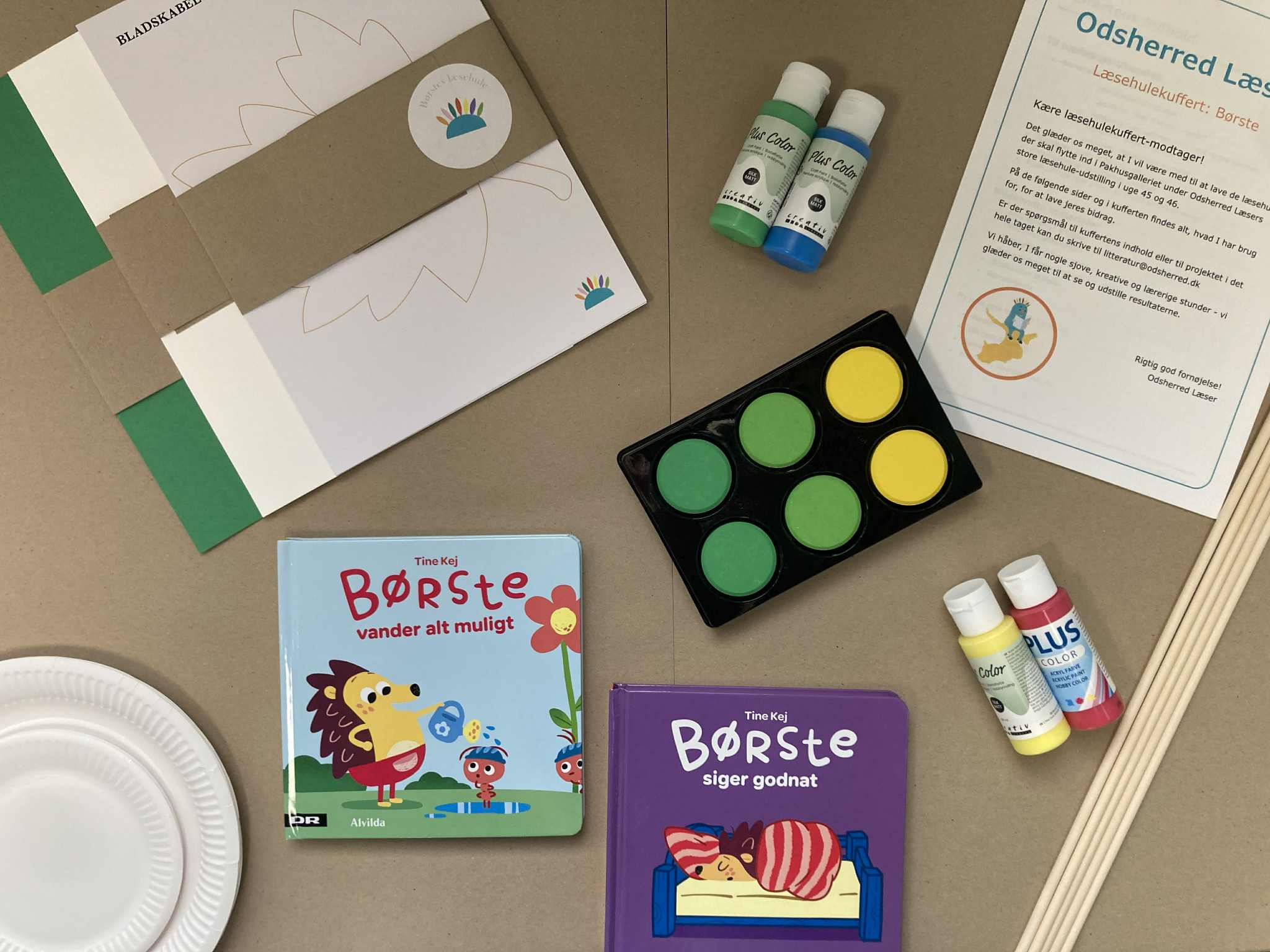 Indhold læsekuffert